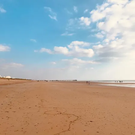 Sable Et Mer, T2 Des Pins